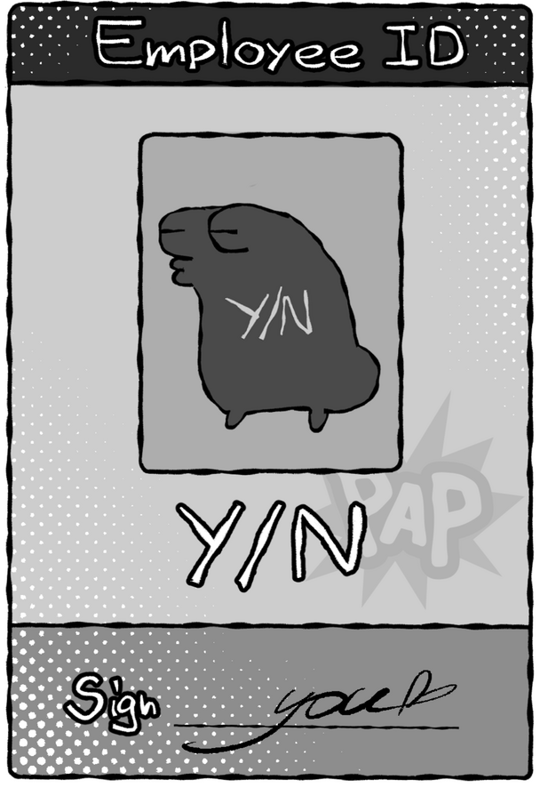 y/n
